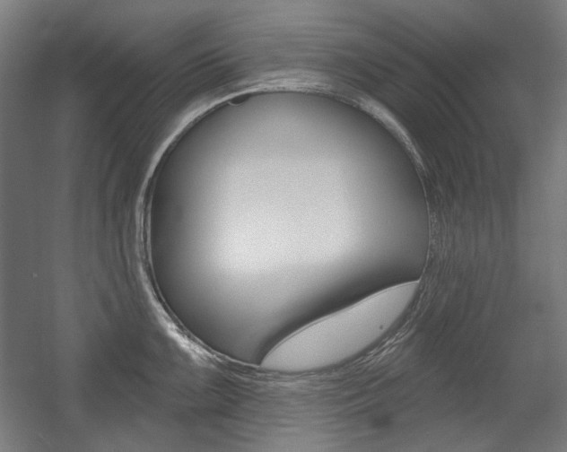 X0000056011099200508190847