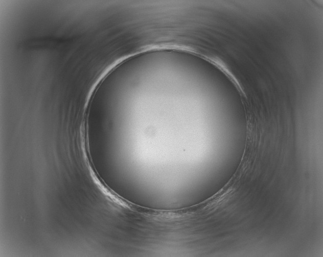 X0000056011100200508190847