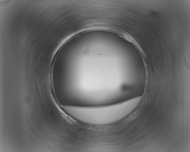 X0000056011101200508190847