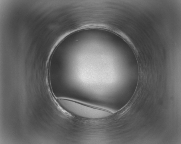 X0000056011102200508190847