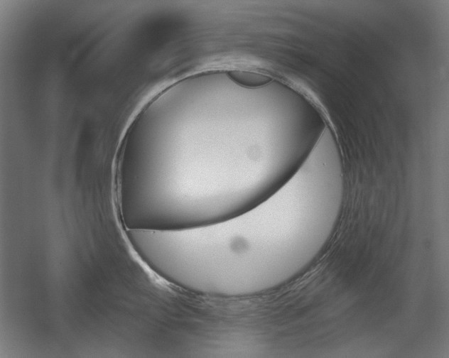 X0000056011103200508190847
