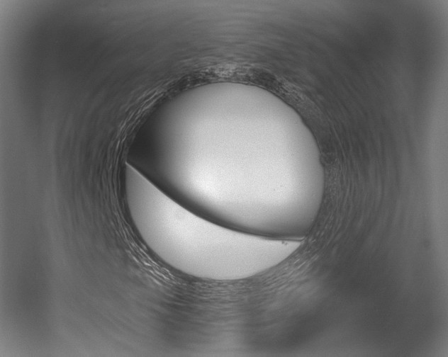 X0000056011105200508190847