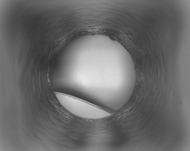X0000056011106200508190847