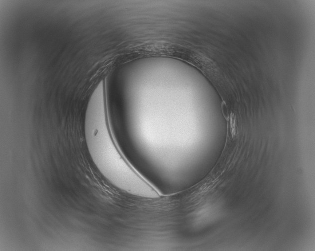 X0000056011107200508190847