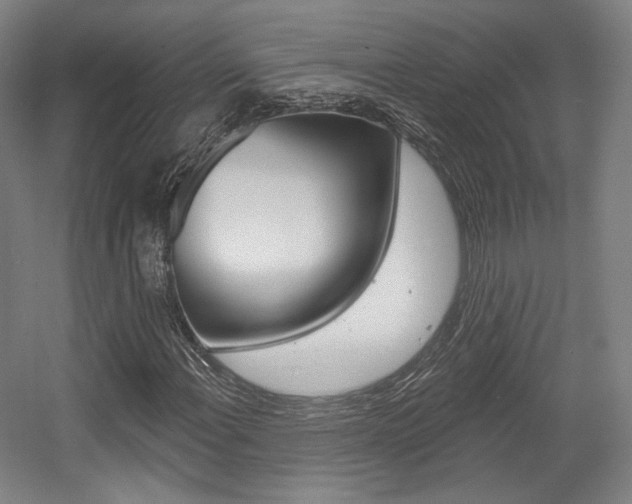 X0000056011108200508190847