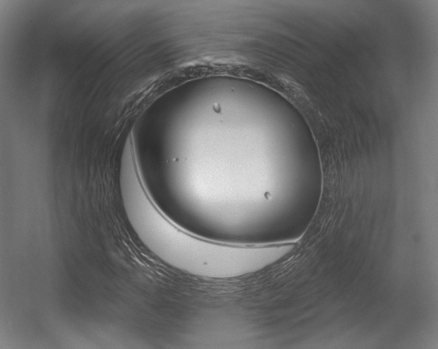 X0000056011110200508190847