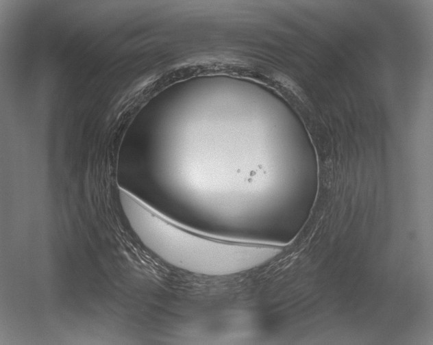 X0000056011111200508190847