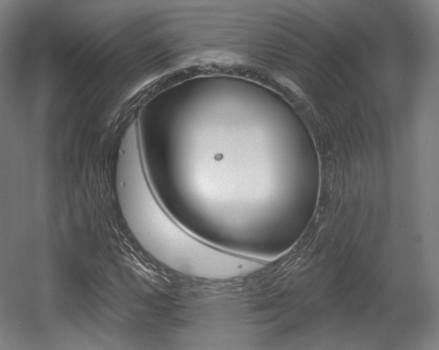 X0000056011112200508190847