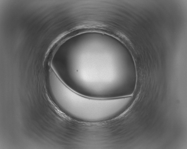 X0000056011114200508190847