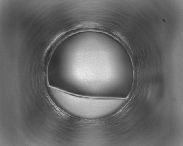 X0000056011115200508190847
