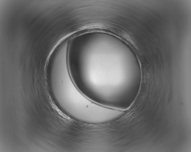 X0000056011116200508190847