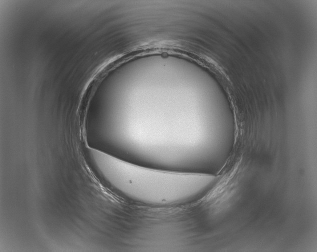 X0000056011117200508190847