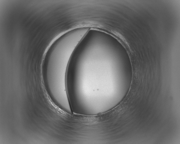 X0000056011120200508190847