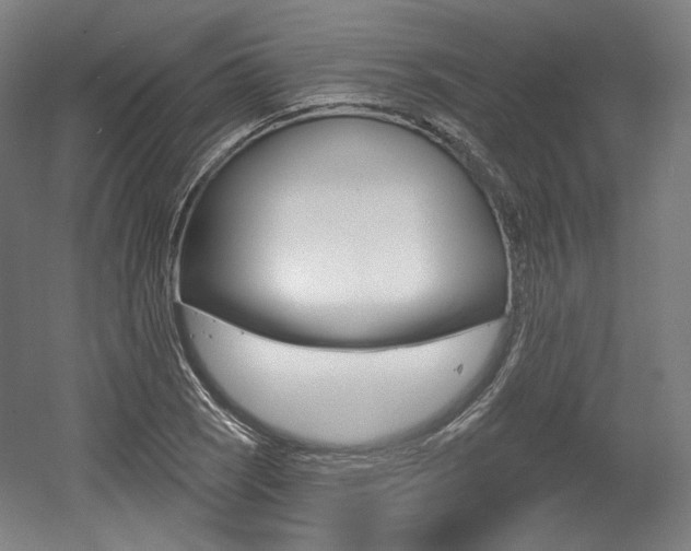 X0000056011121200508190847