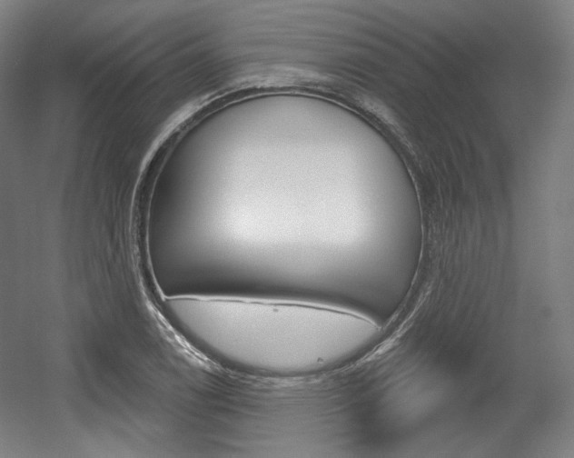 X0000056011122200508190847