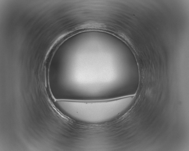X0000056011123200508190847
