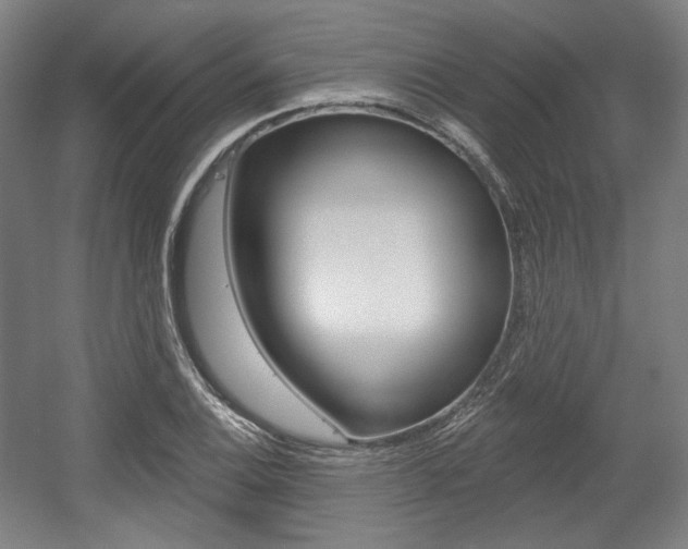 X0000056011124200508190847