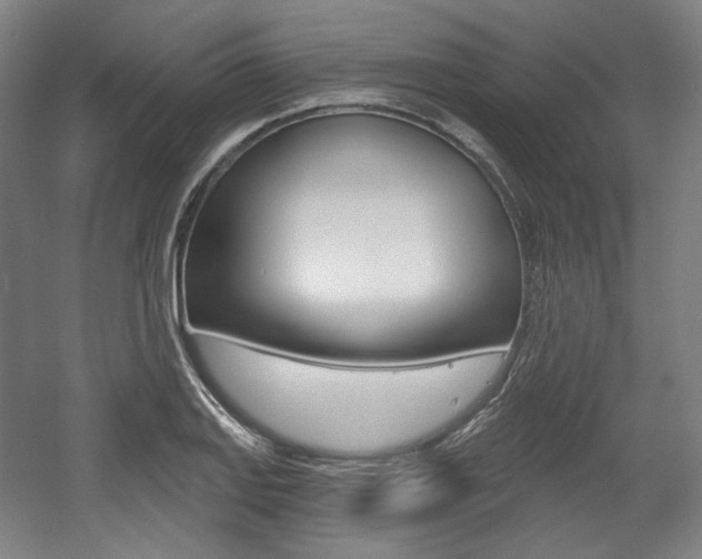 X0000056011127200508190847