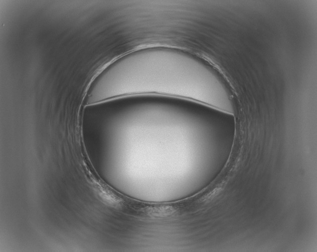 X0000056011129200508190847