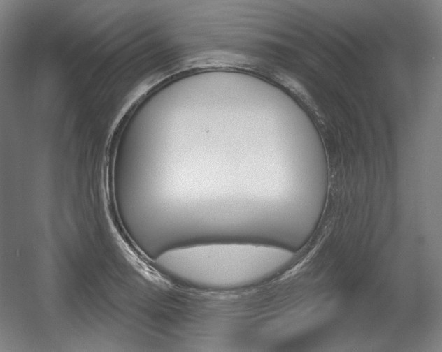 X0000056011130200508190847