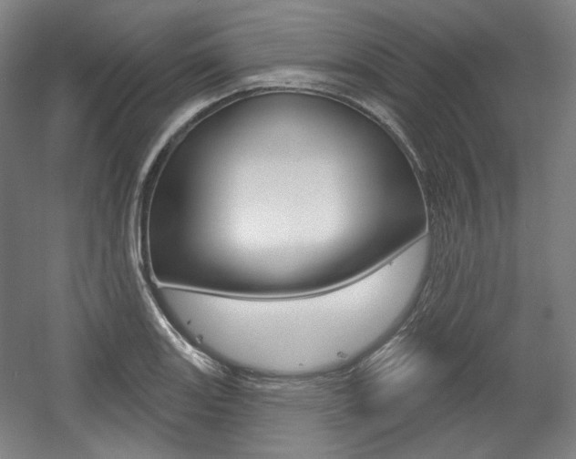 X0000056011131200508190847