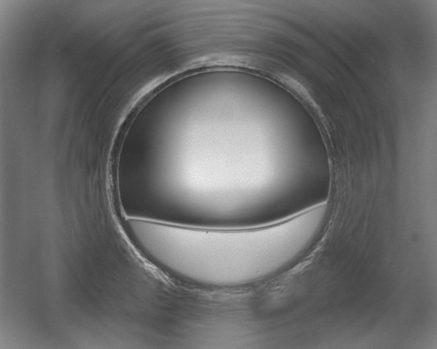 X0000056011133200508190847