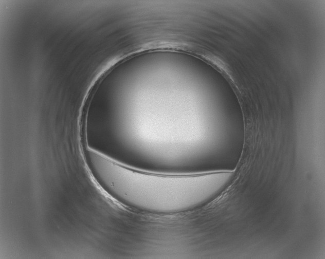 X0000056011135200508190847