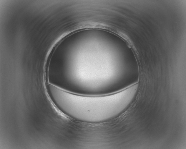 X0000056011136200508190847
