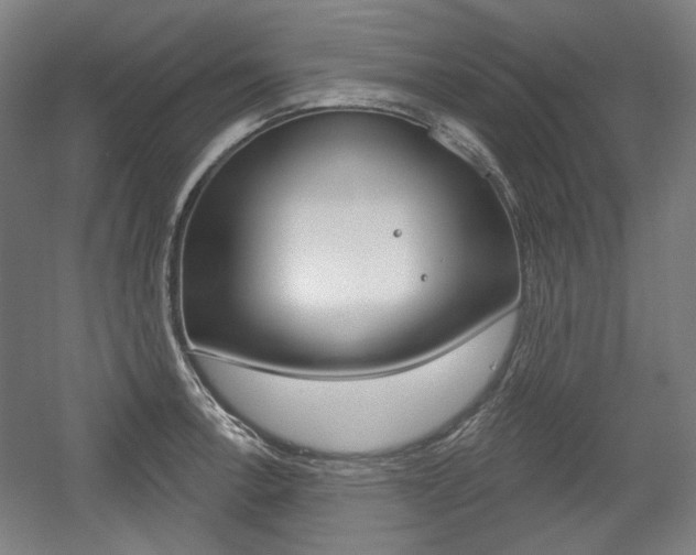 X0000056011138200508190847
