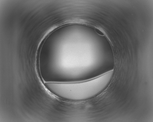 X0000056011139200508190847