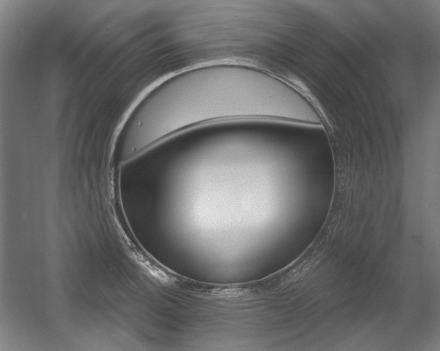 X0000056011140200508190847
