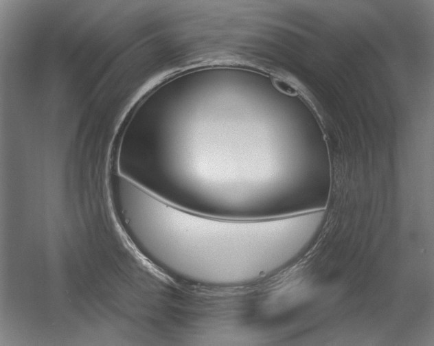 X0000056011142200508190847
