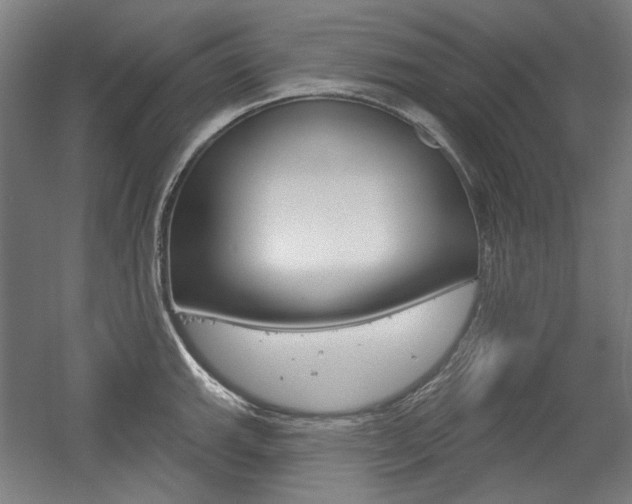 X0000056011143200508190847