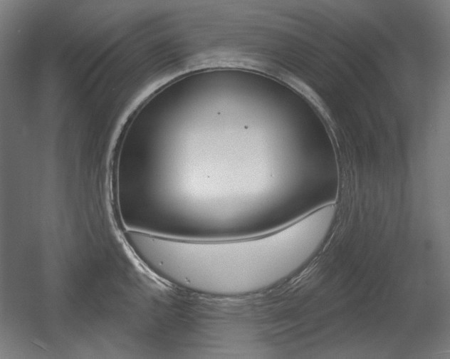 X0000056011144200508190847