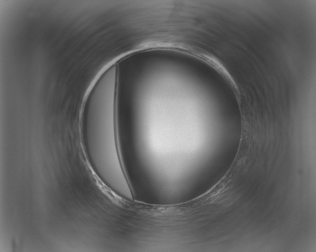 X0000056011148200508190847