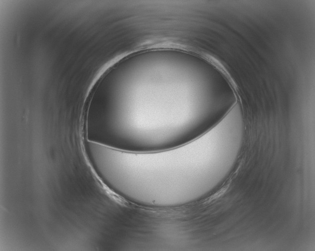 X0000056011149200508190847