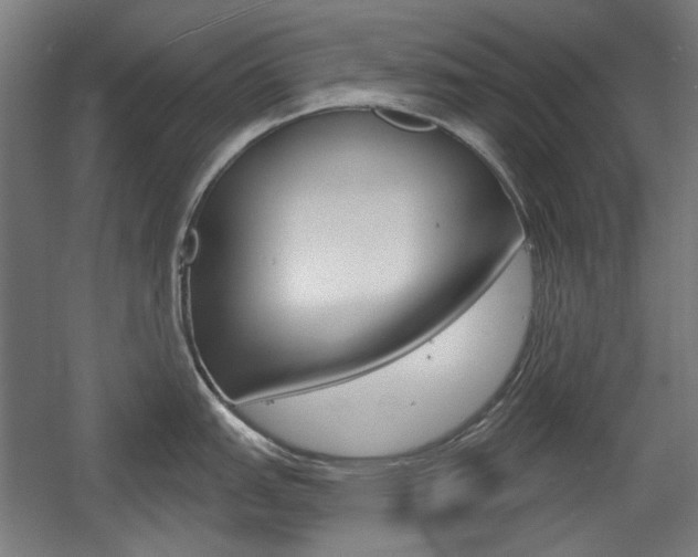 X0000056011151200508190847