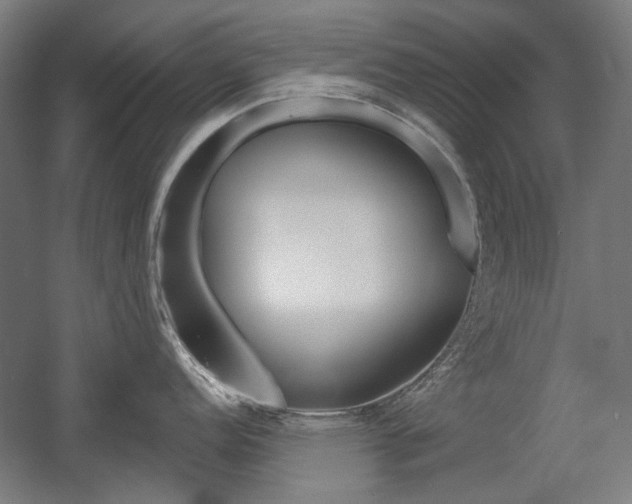 X0000056011152200508190847