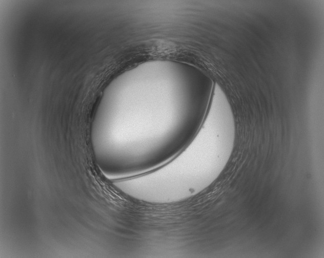 X0000056011153200508190847
