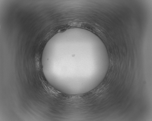 X0000056011154200508190846
