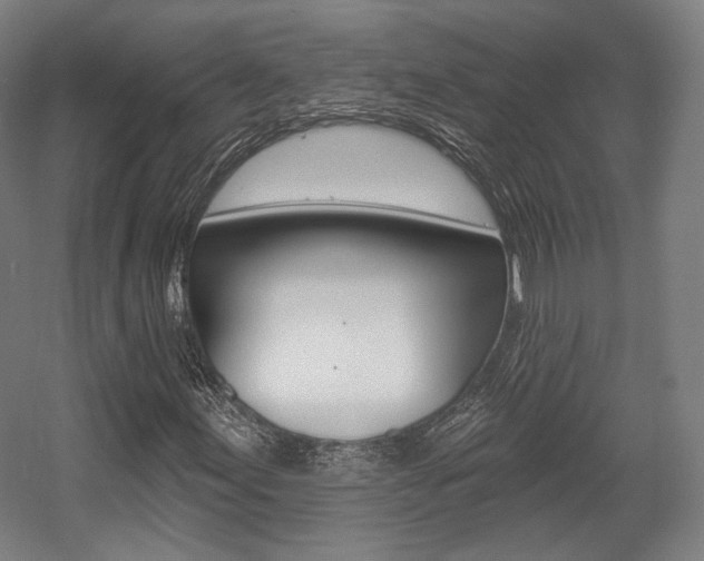 X0000056011155200508190846