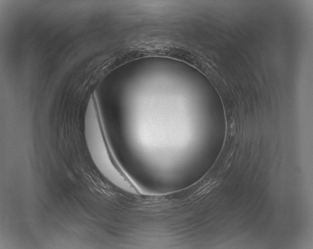 X0000056011156200508190846