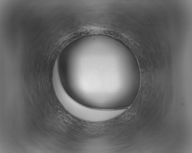 X0000056011157200508190846