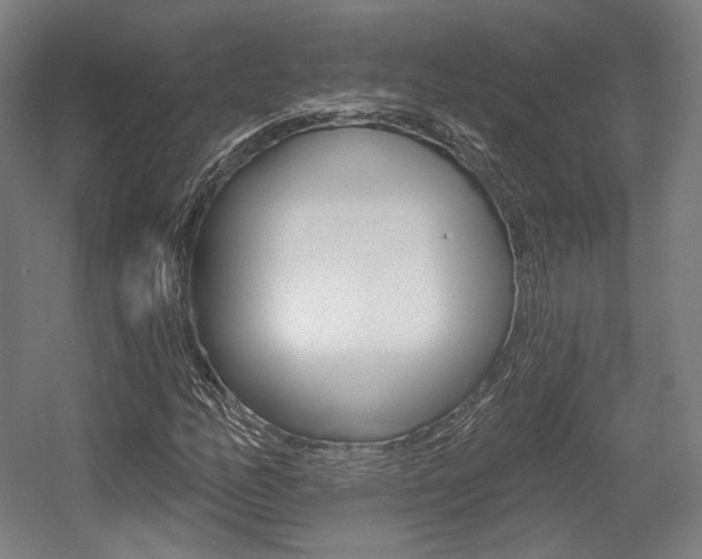 X0000056011158200508190846