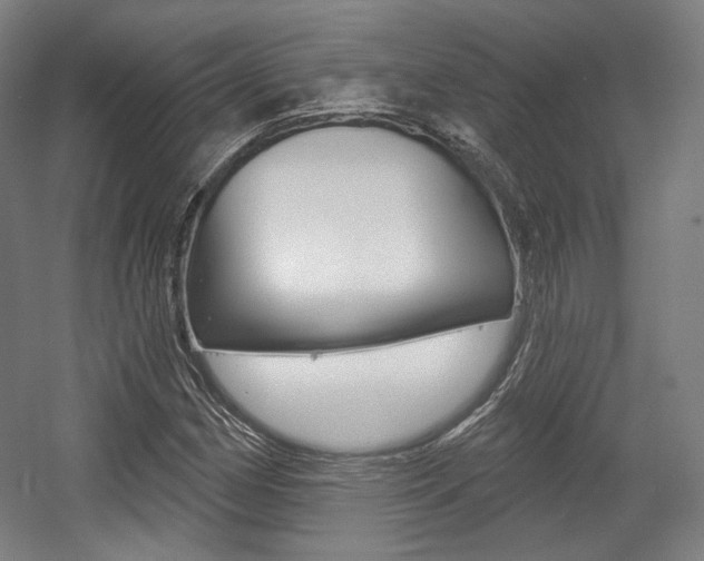 X0000056011162200508190846