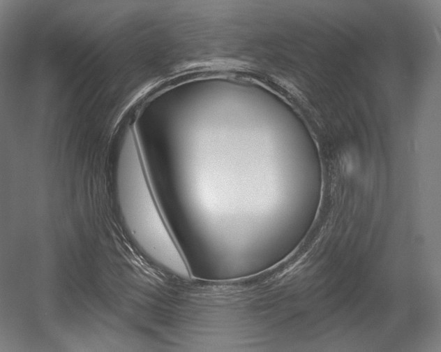 X0000056011163200508190846