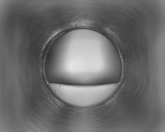 X0000056011166200508190846