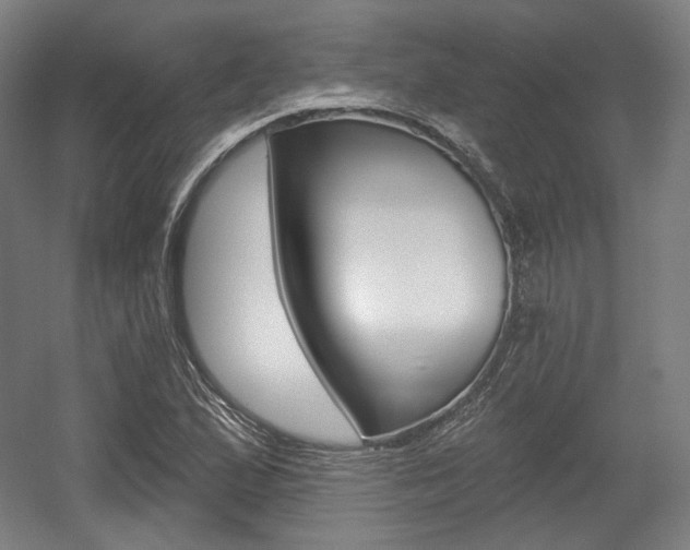 X0000056011167200508190846