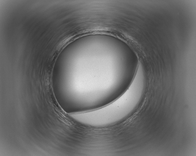 X0000056011169200508190846