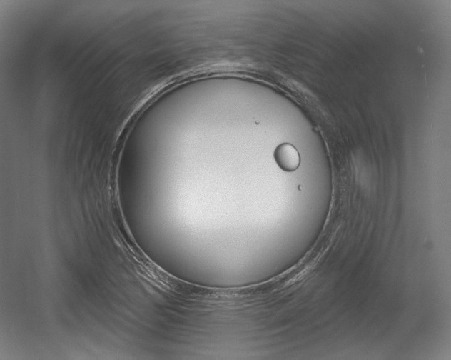 X0000056011170200508190846
